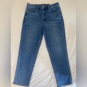 NWT American Eagle Stretch Straight Mom Jeans